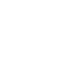 dfb-logo